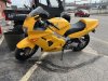 IMG_1086.jpeg