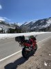 IMG_7450.jpeg