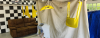 upload_2023-5-28_21-6-6.png