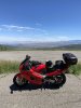 IMG_7643.jpeg