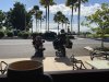IMG_2477.jpeg