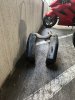 IMG_2947.jpeg