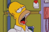 homer-homer-simpson.gif