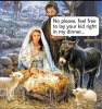 IMG_0031.png
