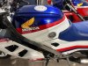 rc243.jpg