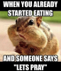 Squirrel 3.png