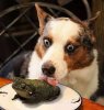 IMG_0151.jpeg