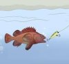 hooked.jpg
