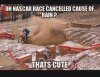 IMG_0207.jpeg