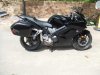 DSCF8813.jpg