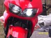 PICS 2010 011.jpg