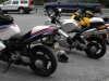 2010_01230009.jpg