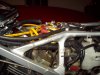 100_0783.jpg