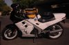 DSC_5976.jpg