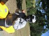 DSCF2305.jpg