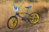 DG bike.jpg