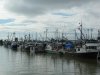 YVR (70).jpg