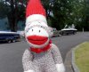IMGP0046.jpg