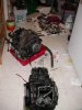 DSCN0429.jpg