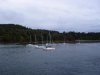 S3700116.jpg