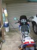 IMG_4272.JPG
