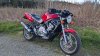 PXL_20240324_231818500.jpg