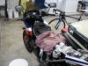 IMG_0104 4-20-2024.JPG