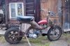 IMG_0382.jpeg