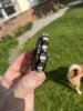 IMG_5922.jpeg