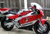 IMG_2435.jpg