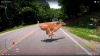 upload_2024-6-15_21-39-43.png