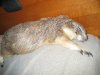 october six----2024 010.JPG