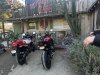 IMG_3983.jpg