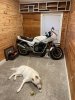 1983 VF750F.jpg