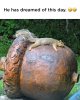 acorn.jpg