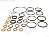 washer-o-ring-kit_medium06114MCWJ00-01_4d69.jpg