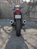 PXL_20250311_205308381.jpg