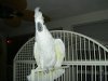 PICT8453.JPG