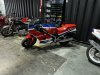 IMG_6558.jpeg