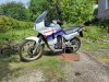 IMG_20230806_113507.jpg