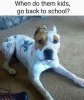 IMG_2482.jpeg