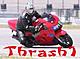 Thrash1