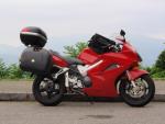 motobear800fi