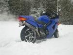 Bluestreak
