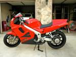redtexrider