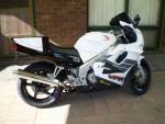 stit40