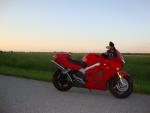 RedRiddingHood