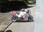 shainsaw2002