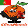 CitrusSinensis