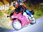 Goodwin750